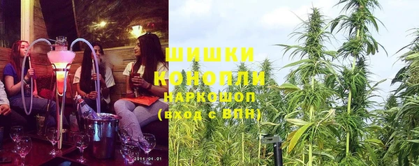 стаф Магадан