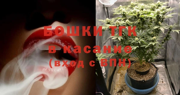 стаф Магадан
