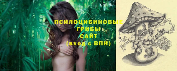 стаф Магадан
