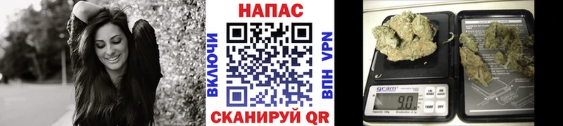 Шишки марихуана план Аргун